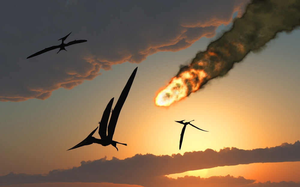 Pteranodons in flight poster print showcasing prehistoric flying reptiles.
