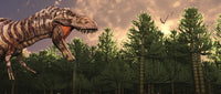 Profile view of a carnivorous Tyrannosaurus Rex poster print.