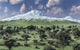A herd of Albertaceratops grazing on a Cretaceous landscape poster print.