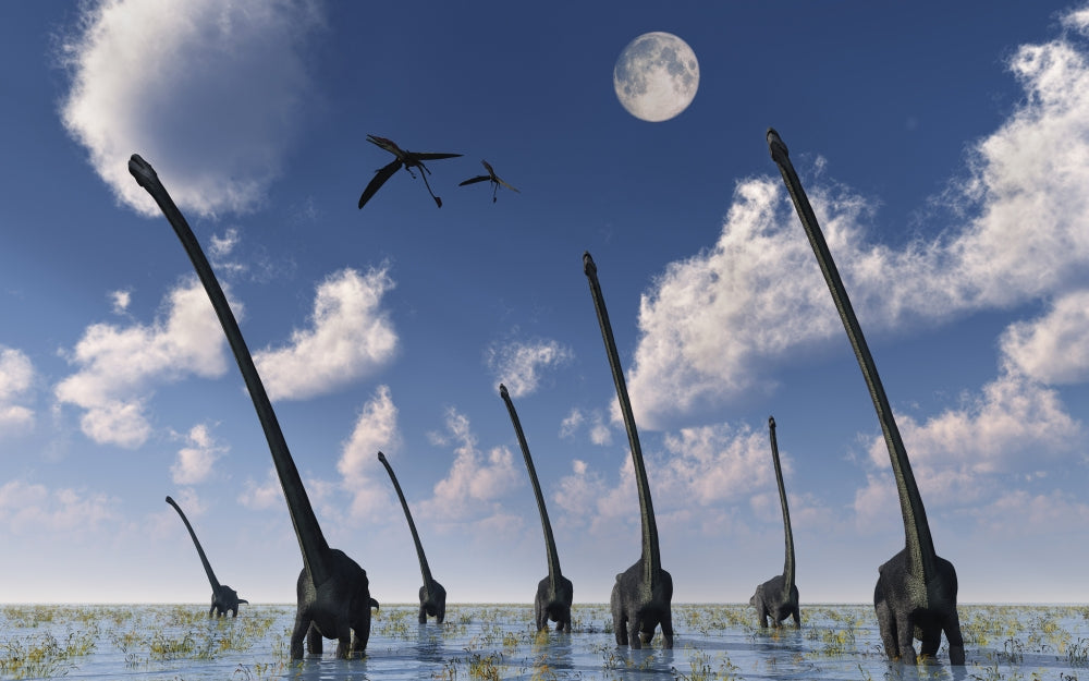Omeisaurus dinosaurs in motion poster print depicting Jurassic Era wildlife.