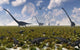 Poster print of sauropod and hadrosaur dinosaur herds grazing together.