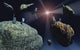 Human astronauts surveying asteroids for metals and minerals poster print by Mark Stevenson.