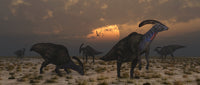 Parasaurolophus dinosaurs at dawn poster print