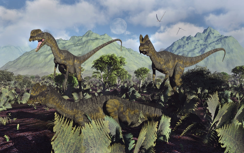 Dilophosaurus dinosaurs poster print depicting Jurassic period art.