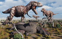 Carnivorous T-Rex dinosaurs with Triceratops poster print.