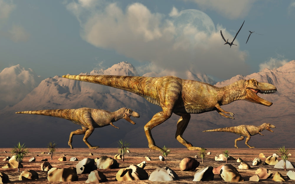Tyrannosaurus Rex Dinosaurs Hunting Poster Print by Mark Stevenson