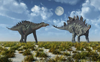 Miragaia & Stegosaurus Dinosaur Poster Print by Mark Stevenson