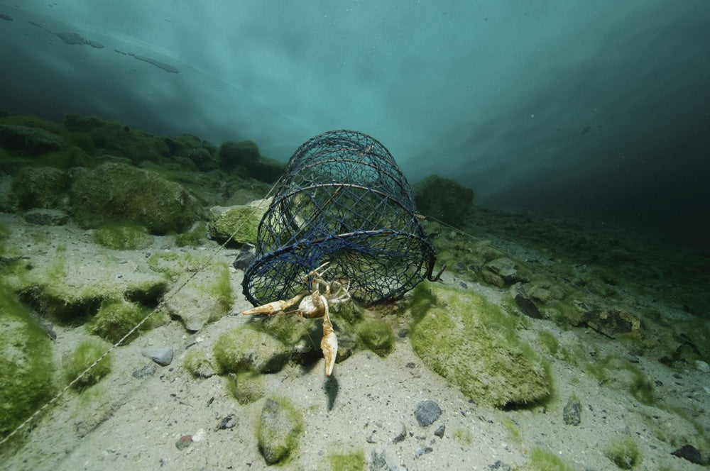 Fish trap under the ice in Karlstrup quarry, Denmark - poster print by Morten Beier.