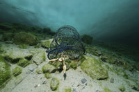 Fish trap under the ice in Karlstrup quarry, Denmark - poster print by Morten Beier.