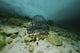 Fish trap under the ice in Karlstrup quarry, Denmark - poster print by Morten Beier.