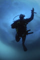 Diver by Iceberg, West Coast, Greenland poster print by Morten Beier