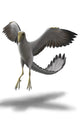 Archaeopteryx with Wings Spread Poster Print showcasing a prehistoric bird