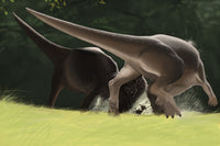 Pachycephalosaurus dinosaur confrontation poster print