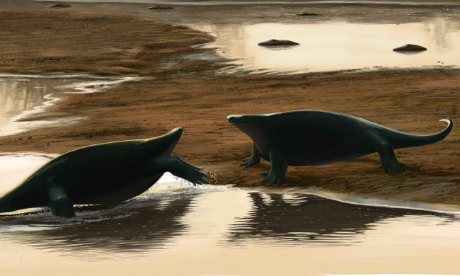 Cotylorhynchus Confrontation on the Water's Edge Poster Print by Michele Dessi