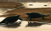 Cotylorhynchus Confrontation on the Water's Edge Poster Print by Michele Dessi