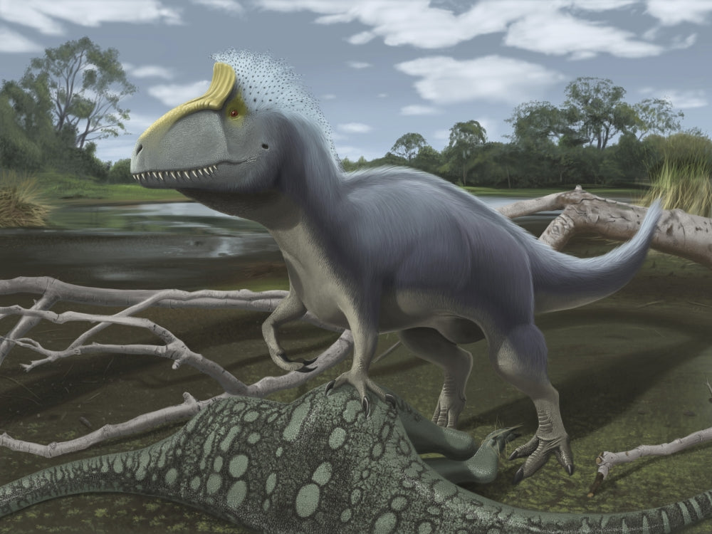 Cryolophosaurus standing over its prey poster print depicting a dinosaur.