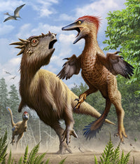 Confrontation between Pectinodon Bakkeri and Stygimoloch poster print depicting Late Cretaceous period.