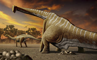 Apatosaurus Laying Eggs Poster Print showcasing a female dinosaur in a nest.