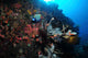 Colorful reef scene poster print featuring coral and fish from Komodo, Indonesia.