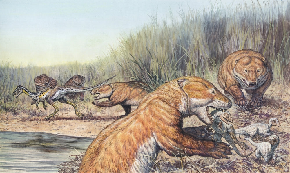 Repenomamus mammals hunting for prey poster print showcasing Mid-Jurassic scene.