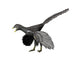 Archaeopteryx lithographica Late Jurassic Poster Print showcasing a feathered dinosaur.