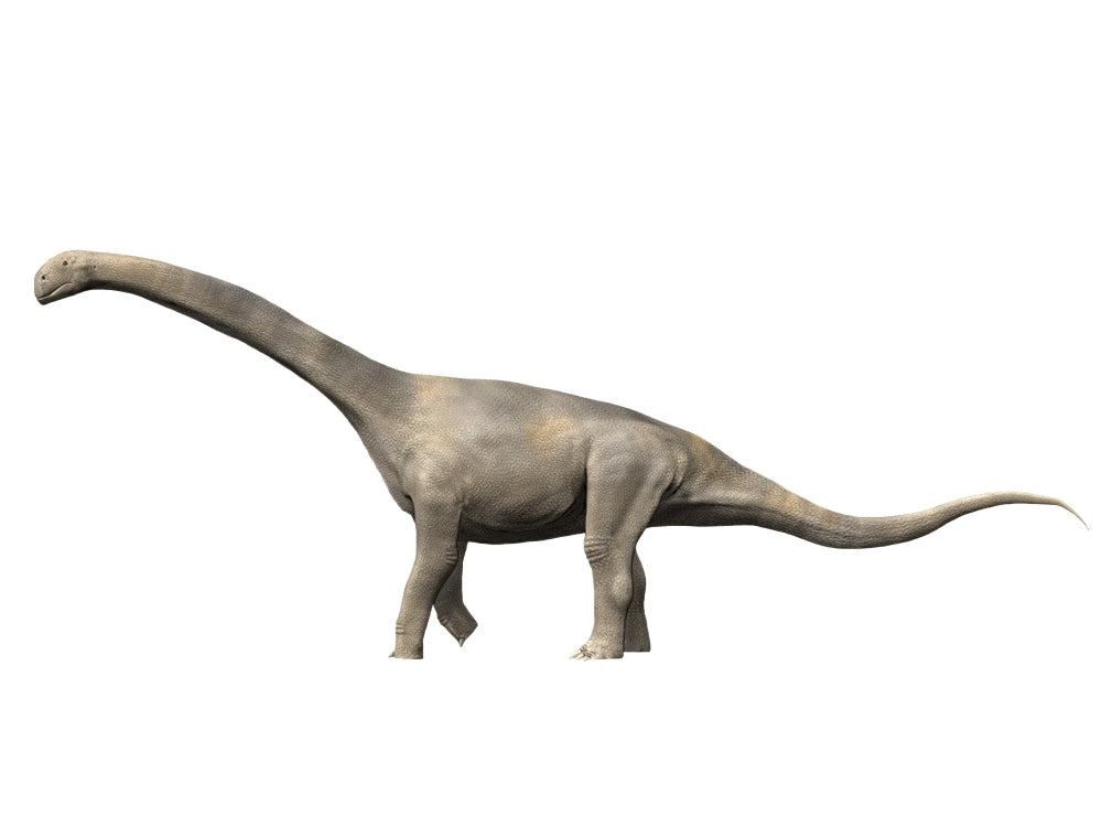 Turiasaurus Riodevensis poster print featuring a dinosaur from the Late Jurassic of Spain.