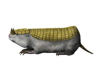 Peltephilus xenarthran mammal poster print by Nobumichi Tamura.
