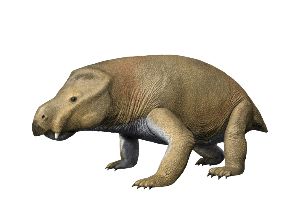 Kannemeyeria Triassic poster print by Nobumichi Tamura showcasing a large dicynodont.