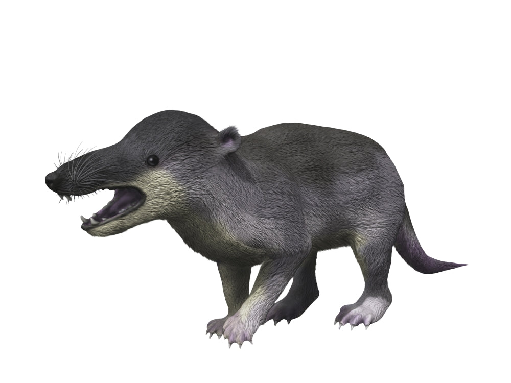 Deinogalerix koenigswaldi poster print by Nobumichi Tamura