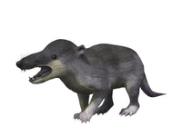 Deinogalerix koenigswaldi poster print by Nobumichi Tamura