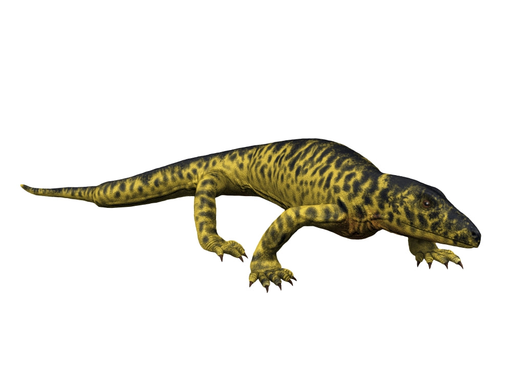 Mycterosaurus Longiceps Poster Print by Nobumichi Tamura showcasing Early Permian synapsid.