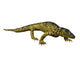 Mycterosaurus Longiceps Poster Print by Nobumichi Tamura showcasing Early Permian synapsid.