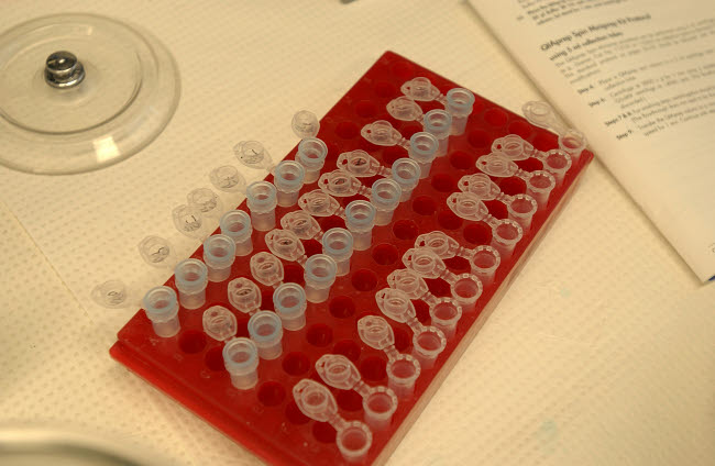 Rack of test tubes poster print by Stocktrek Images showcasing laboratory equipment.