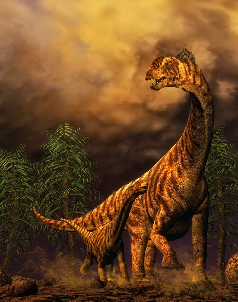 Camarasaurus adult and offspring poster print depicting the late Jurassic period.