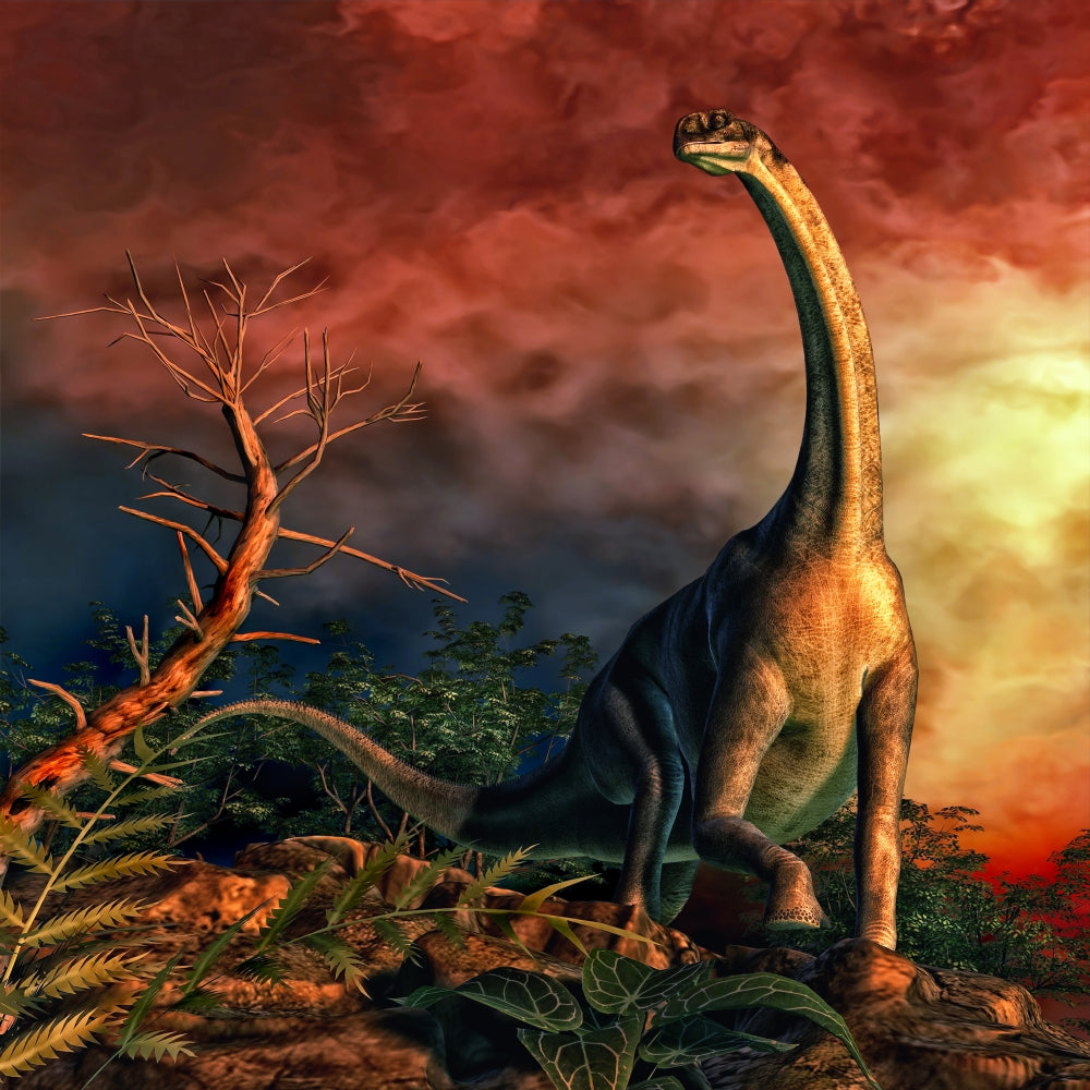 Jobaria sauropod dinosaur poster print from the Middle Jurassic Period.