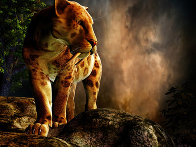 T Rex Art