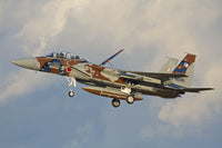 F-15DJ Eagle Japan Air Self Defense Force poster print