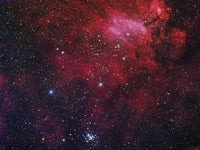 Open Cluster NGC 6231 and Prawn Nebula Poster Print