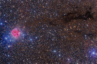 Cocoon Nebula Poster Print by Roberto Colombari showcasing vibrant colors and cosmic details.
