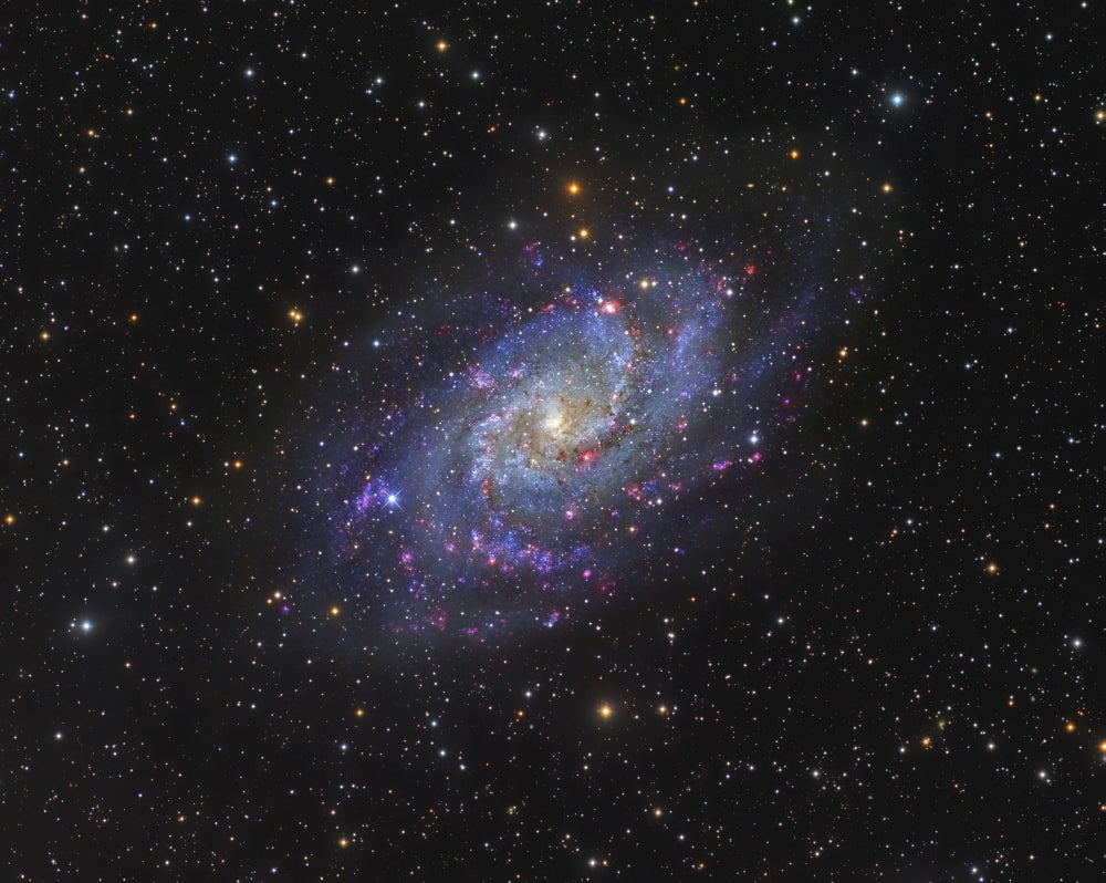 The Triangulum Galaxy (Messier 33) Poster Print showing intricate details of the galaxy.