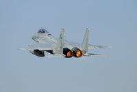 F-15 Eagle of the Royal Saudi Air Force Poster Print by Riccardo Niccoli