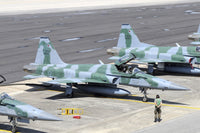 Line-up of Brazilian Air Force F-5EM jets at Natal Air Force Base poster print