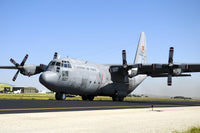 Turkish Air Force C-130 Hercules Poster Print by Stocktrek Images