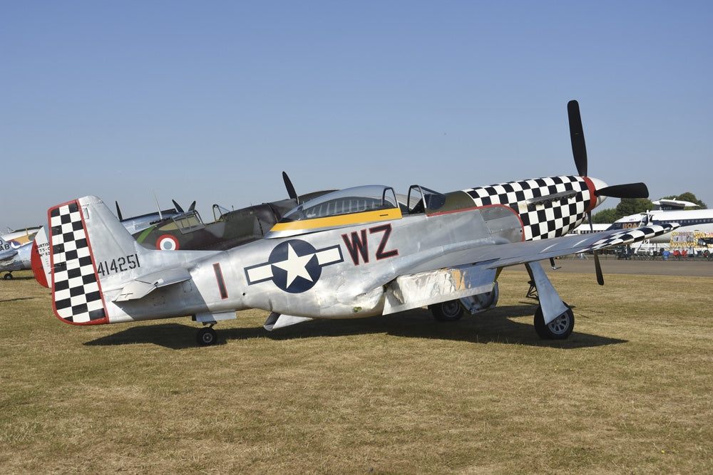 U.S. Army Air Force P-51D Mustang Poster Print by Riccardo Niccoli