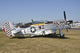 U.S. Army Air Force P-51D Mustang Poster Print by Riccardo Niccoli