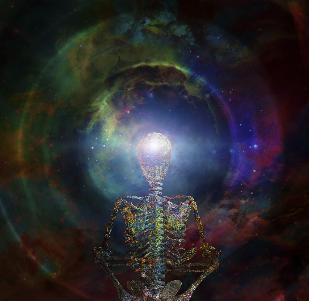 Skeleton in Lotus Position Poster Print by Bruce Rolff showcasing meditation theme.