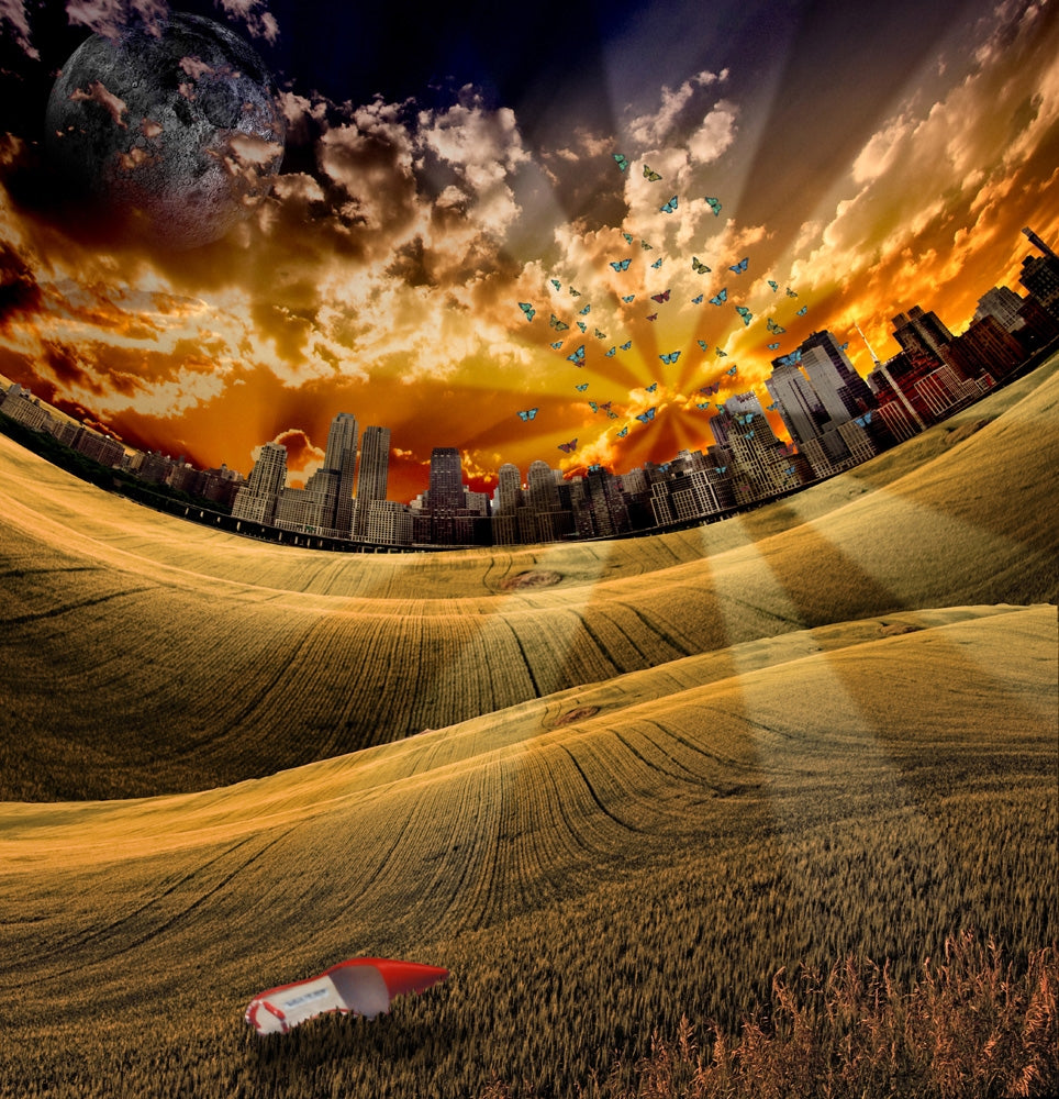 City Park and One Red Shoe Poster Print by Bruce Rolff