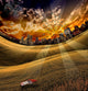 City Park and One Red Shoe Poster Print by Bruce Rolff
