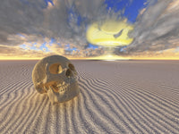 Human skull and nuclear explosion in desert poster print by Bruce Rolff.