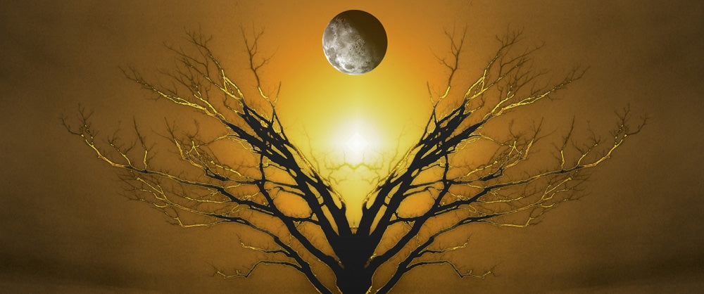 Mystic Tree of Life sunset or sunrise poster print by Bruce Rolff